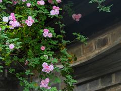 -老门东历史文化街区