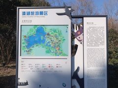 -溱湖国家湿地公园