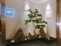 -富黎华海鲜大酒楼(正大广场店)