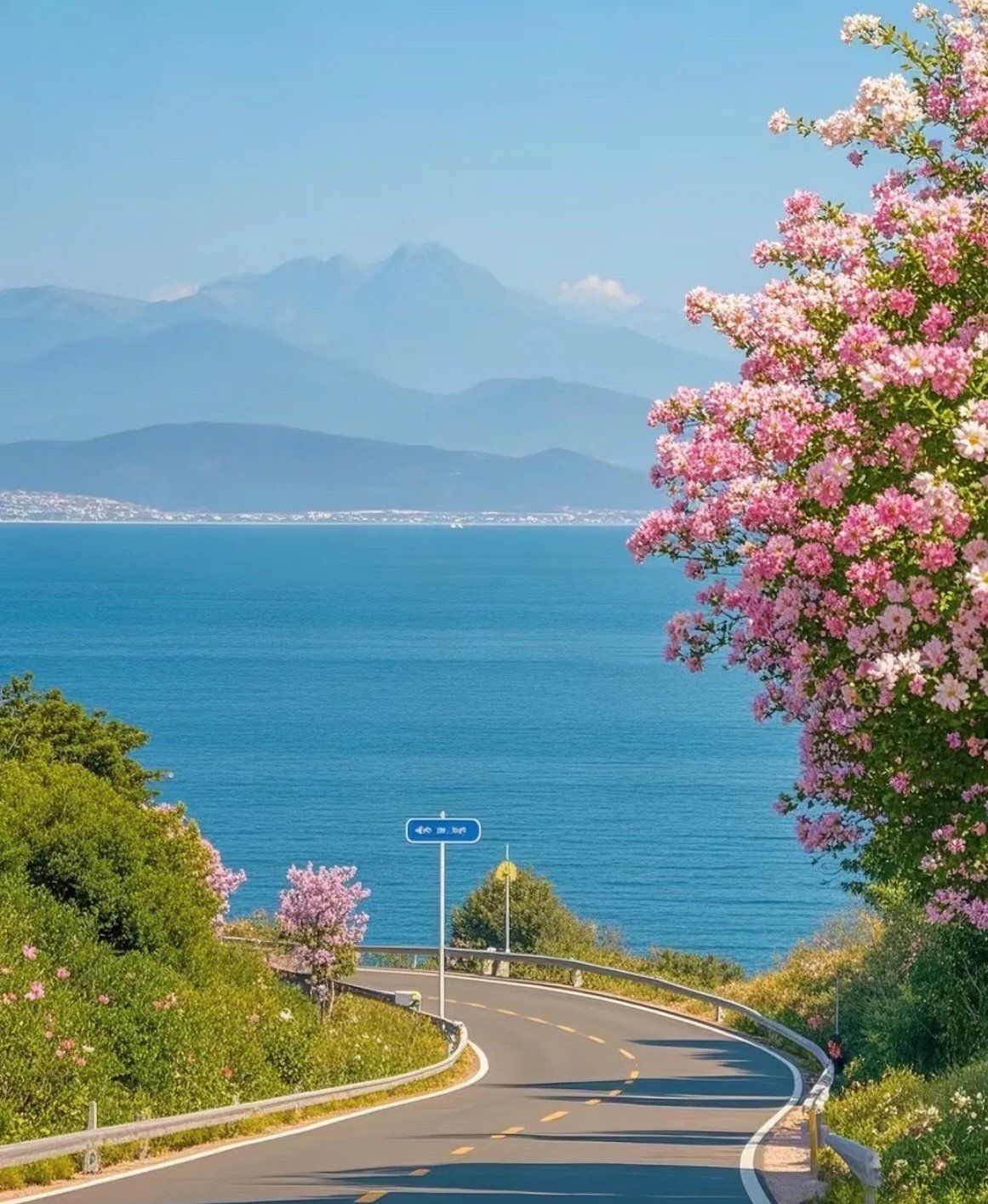 依山傍海的蜿蜒公路,两旁盛开的鲜花将道路