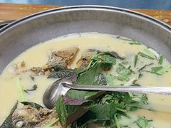 -岩泊渡桂鱼楼活鱼馆