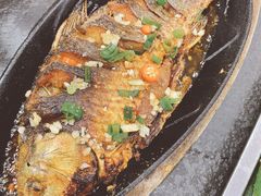 铁板烤鲫鱼-老黑板筋(顺义总店)