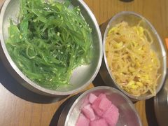 -岭南站NOVA