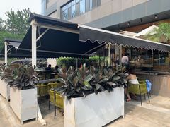 -the rug 飞毯 (朝阳公园店)