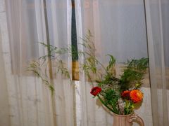 -Jo's Garden