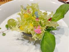 -叶叶菩提·晋福宫