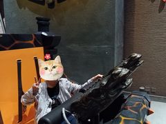 -青岛东方影都融创电影世界