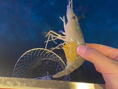 -钳真多钓虾馆·小龙虾海鲜烧烤(九六广场店)