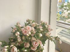 -左悦·艾灸调理·推拿按摩·精油SPA(卓悦汇店)