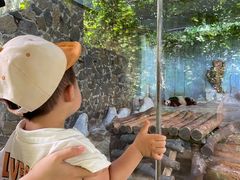 -海南热带野生动植物园