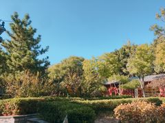 -蓬莱阁景区