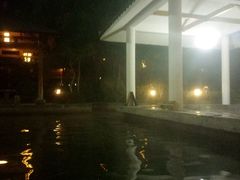 -深业半汤御泉庄温泉