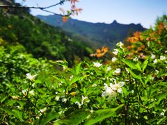 -崂山九水游览区