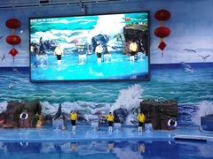 -多彩贵州城极地海洋世界