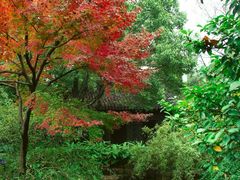 -惠山古镇·寄畅园