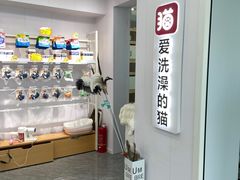 -爱洗澡的猫(望京店)
