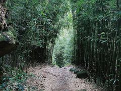 -井空里大峡谷