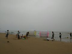 -日照海滨国家森林公园