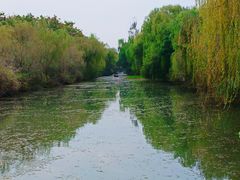 -洛阳市隋唐城遗址植物园