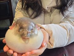 -永安鱼庄·镇江菜(东吴路店)