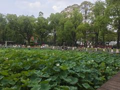 -四川大学(望江校区)
