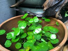 -三峡古玩城(泰古广场店)