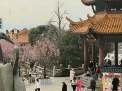 -哈尔滨极乐寺