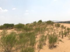 -银肯塔拉沙漠生态旅游景区