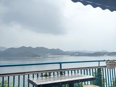 -望湖烤鱼