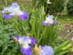 -北京植物园-展览温室