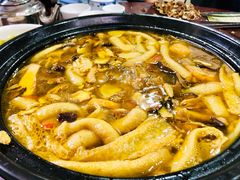 -江川野生菌火锅铜锅鱼(贵清火锅店)