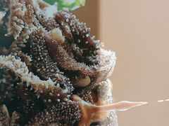 爆肚-大海碗·京菜炸酱面(雍和宫店)