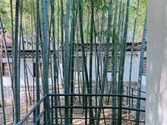 -求雨山文化公园