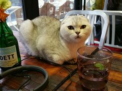 android_upload_pic-MIKAKU(万达广场上海宝山店)