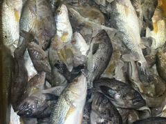 -船梆煮•蒸汽海鲜·生腌干蒸(五四广场店)