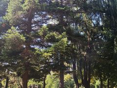 -长春公园(普阳街道)