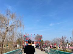 -南通鲜花小镇