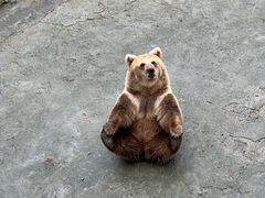 -哈尔滨北方森林动物园