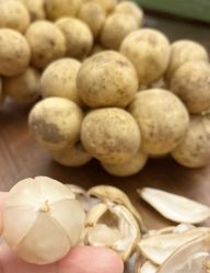 -Oasis Beauty水磨坊科技美肤中心