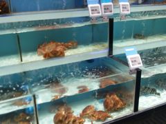 -盒马鲜生(顺义店)