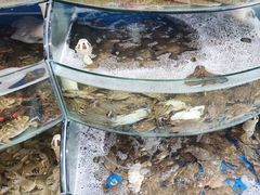 -蓝珊甄选海鲜自助·火锅大排档(近阿那亚店)