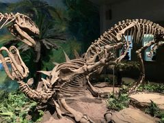 -自贡恐龙博物馆