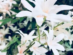 -菜香源·醉湖美宴(杨家坪店)