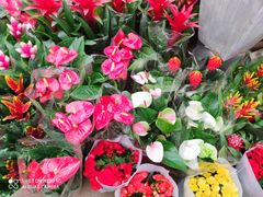 -金陵花卉交易市场