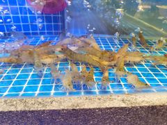 -鸽子侯·家宴·平价海鲜(绿地店)