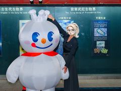 -世界恐龙谷景区