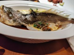 雪菜蒸黄鱼岛小黄鱼-庭院江南菜•烤鸭•非遗传承(丰台总部基地店)
