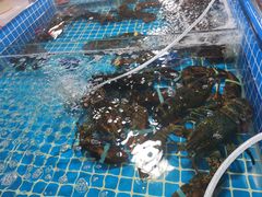 -琼大师东方烤乳猪(亚特兰蒂斯店)