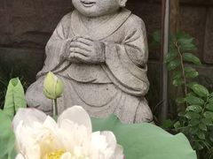 -江阴君山寺