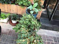 -廣味潮鲜·一品潮滋味(五道口店)